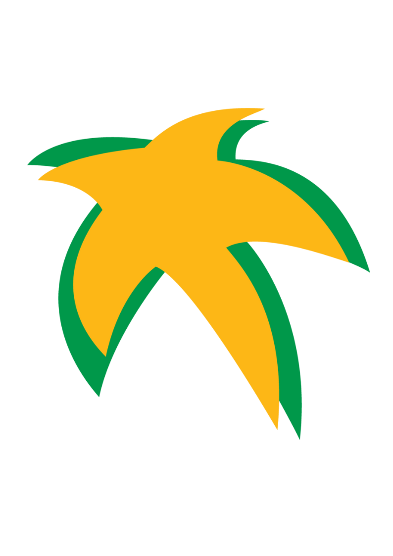 Tara Airways