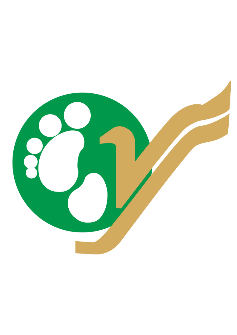 Yeti Airlines